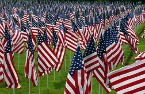 many american flags.jpg